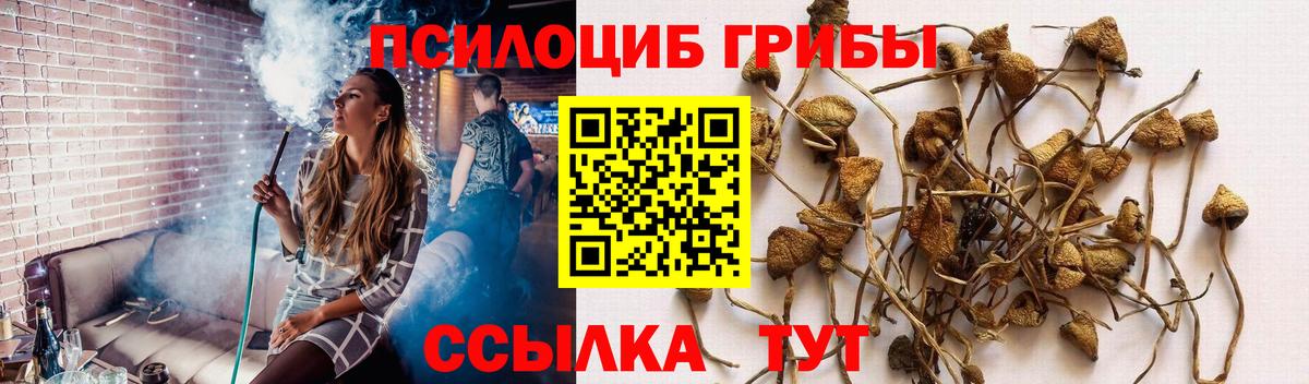 Псилоцибиновые грибы Cubensis  Вход с VPN  Югорск 